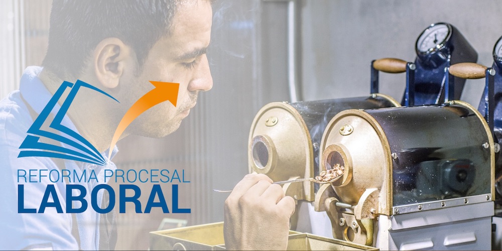 Estudio sobre la reforma Procesal Laboral