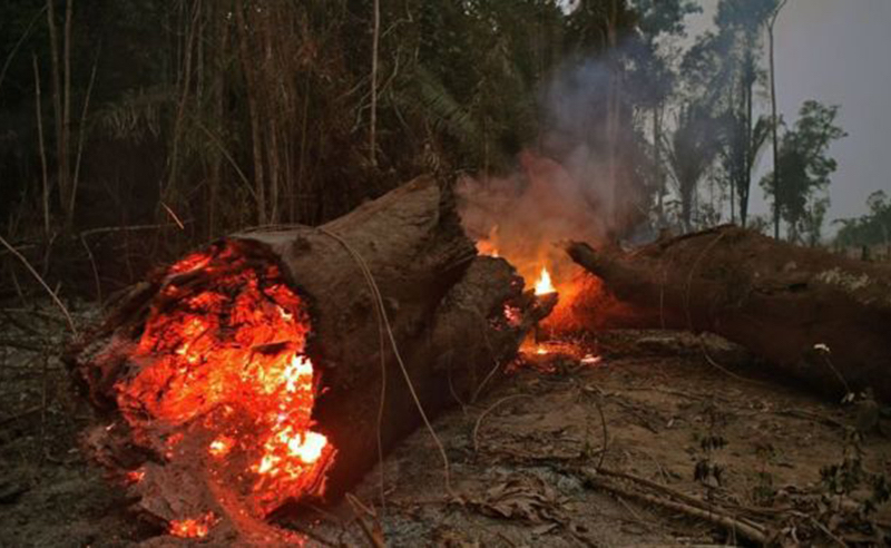 Crisis diplomática a raíz de los incendios en la Amazonía brasileña: breves apuntes sobre discursos incendiarios. (Actualización)