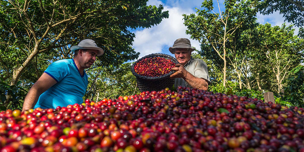 Política en Positivo: El Futuro En Una Taza De Café