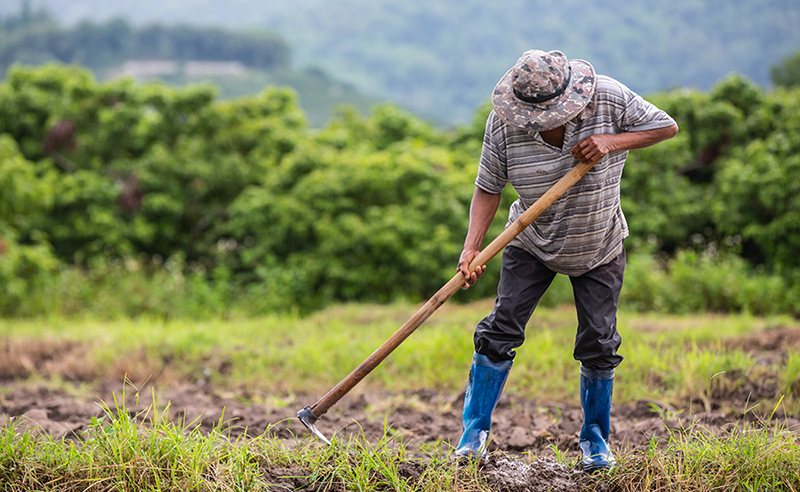 12 marzo 2024: Realidades y retos de la agricultura costarricense. Con Juan Rafael Lizano y Luis Felipe Arauz. 