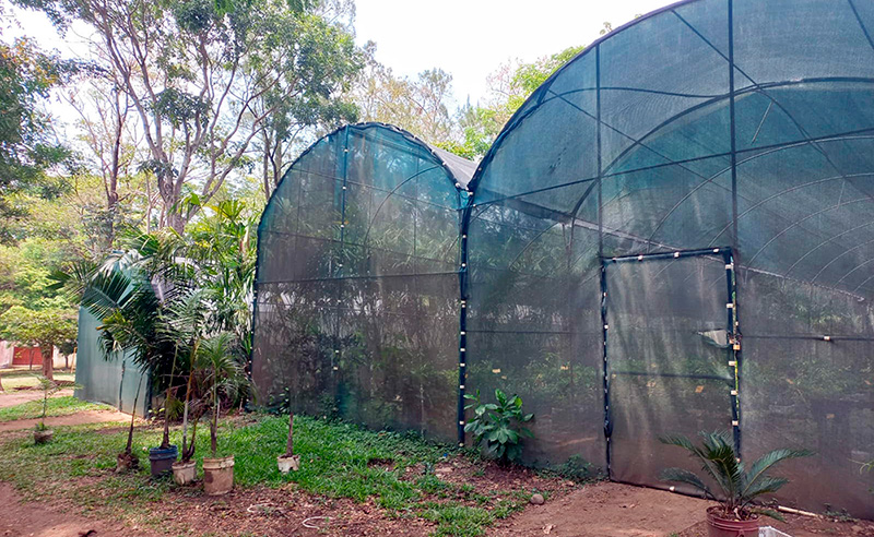 4 septiembre 2024: Proyecto Parque Natural Urbano Lorne, Ross. Con Paula Blanco Cantillo y Catalina Obregón.