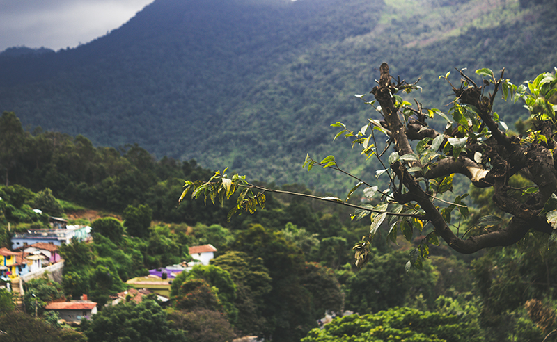 14 abril 2025: Desorden urbano. Con Allan Astorga.