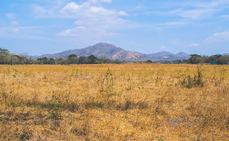 16 noviembre: Las previsiones de sequía para el 2019 y los efectos de El Niño, con Alexander Solís y Lorena Romero