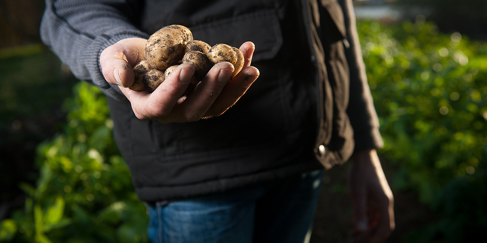 15 mayo: La reactivación económica pasa también por la reactivación del agro. Los principales reclamos del sector agricultor, con Juan Rafael Lizano y Guido Vargas