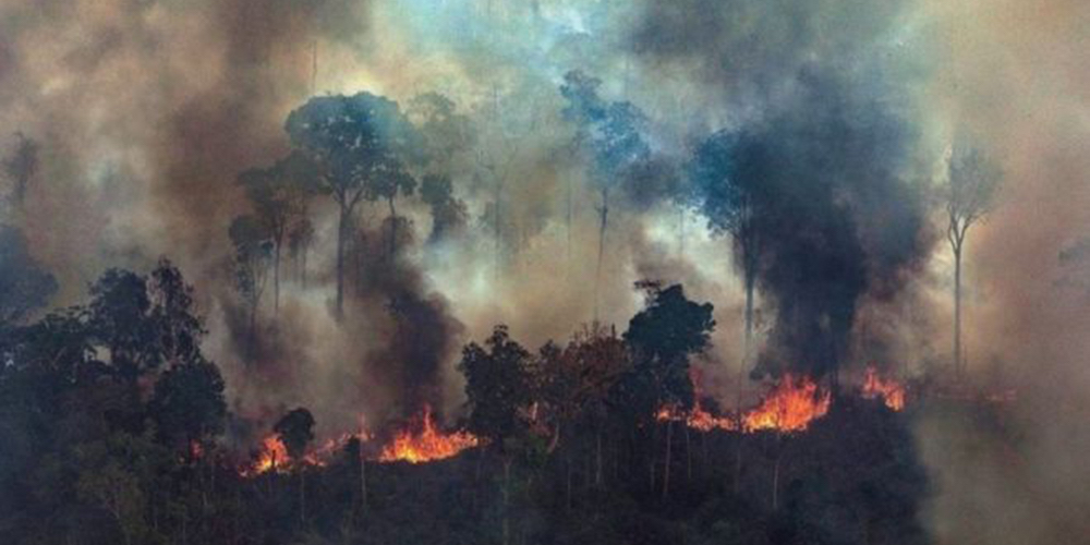 28 agosto: Los incendios en los bosques amazónicos son una emergencia planetaria, con Allan Astorga.