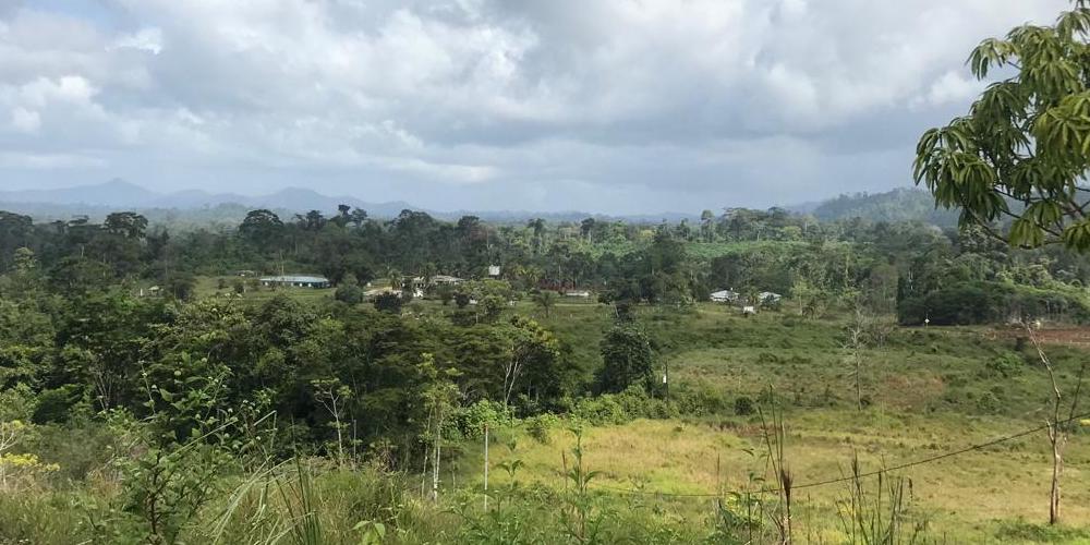 9 enero: ¨La invasión a Crucitas fue una actividad promovida, se les invito a sacar el oro" con Carlos Manuel Rodríguez