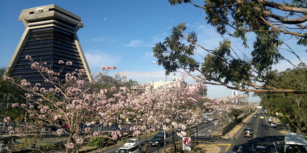 17 febrero: ¿Cómo y en qué invertiremos los escasos recursos que nos queden después de pagar los intereses de nuestras deudas? Con Francisco de Paula Gutiérrez.