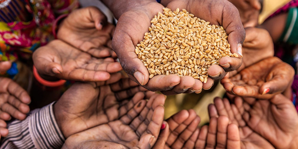 21 de mayo: La seguridad alimentaria está puesta de nuevo sobre el tapete de las necesidades más apremiantes que atender en plena pandemia. Con Federico Zamora y Víctor Umaña