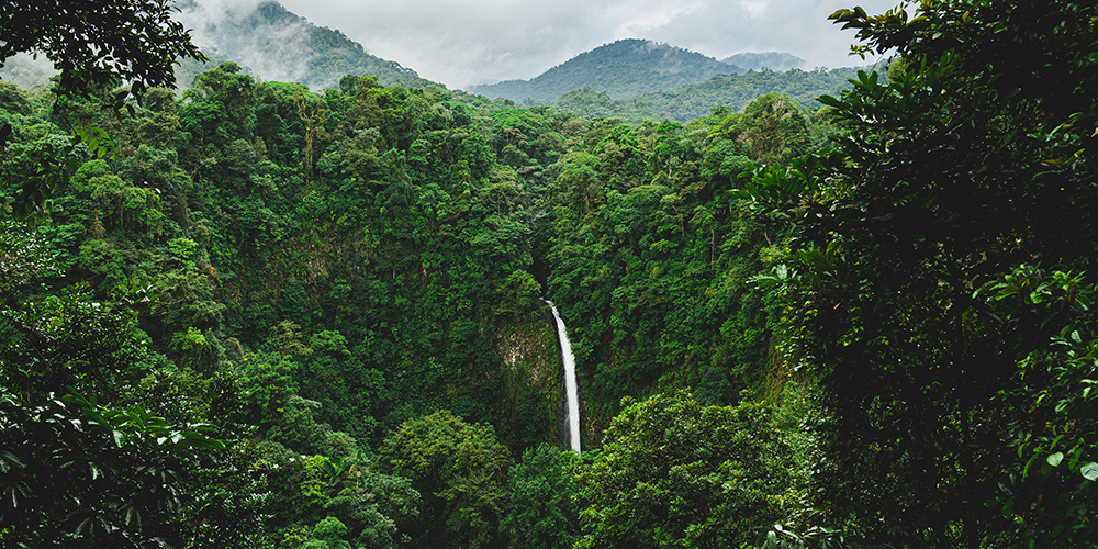 6 de mayo: Una de nuestras joyas más preciadas; el turismo, está en caída libre, su recuperación tomara muchos meses. Con María Amalia Revelo.