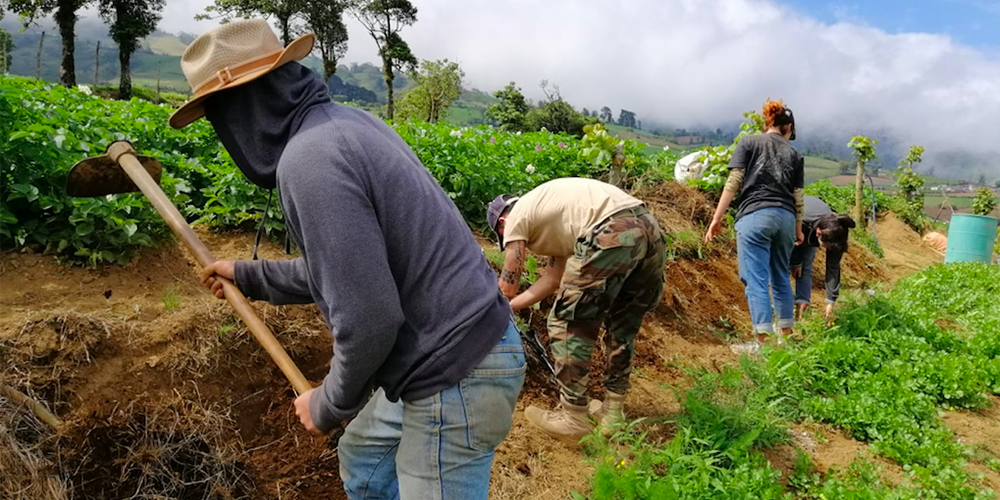 23 junio: Cerca de 74 mil trabajadores serán necesarios para afrontar las cosechas de los próximos seis meses. Con Renato Alvarado.