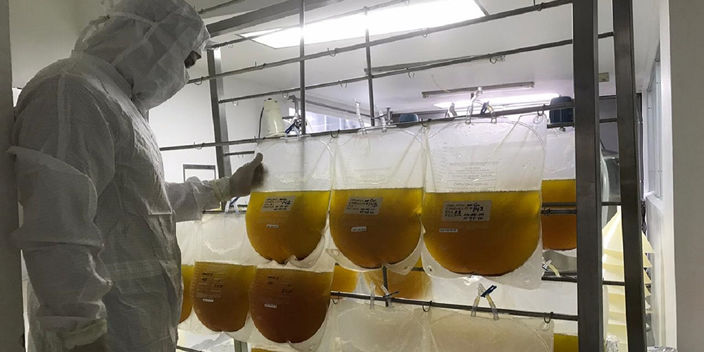 31 agosto: Nuestra capacidad hospitalaria se compromete cada día más, en este momento hay casi tantas personas hospitalizadas como las que han fallecido durante la pandemia. Con Román Macaya.