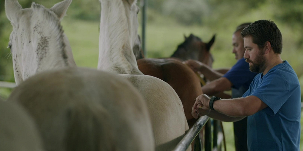 3 agosto: Se espera que en poco más de una semana estén los protocolos que permitirán probar en enfermos de Covid-19 los sueros elaborados por el Instituto Clodomiro Picado. Con Alberto Alape