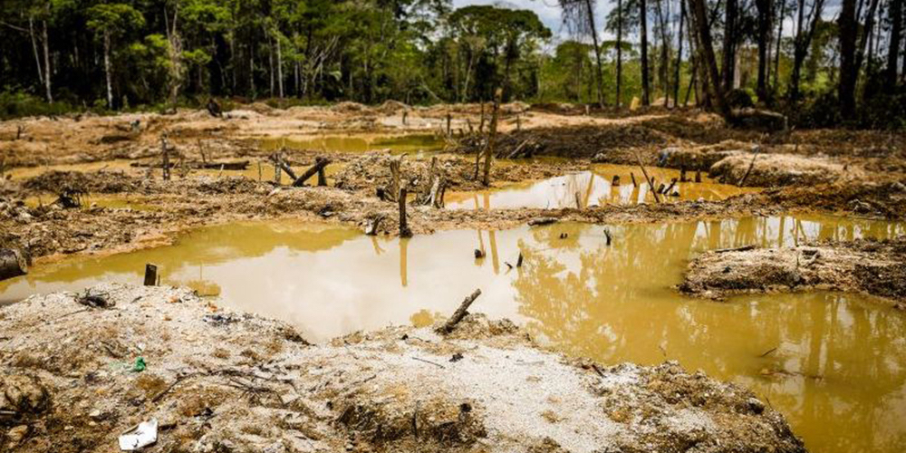 2 setiembre: No se trataba solamente de unos cuantos coligalleros artesanales, era toda una gran y poderosa estructura que sacó oro por el aeropuerto Juan Santamaría. Con Carlos Manuel Rodríguez. 