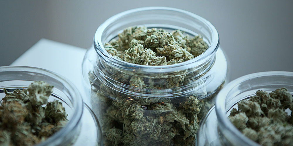 17 noviembre: El proyecto para la producción y uso del cáñamo y el cannabis medicinal está sobre la mesa. Con Jorge Villalobos y Zoila Rosa Volio.