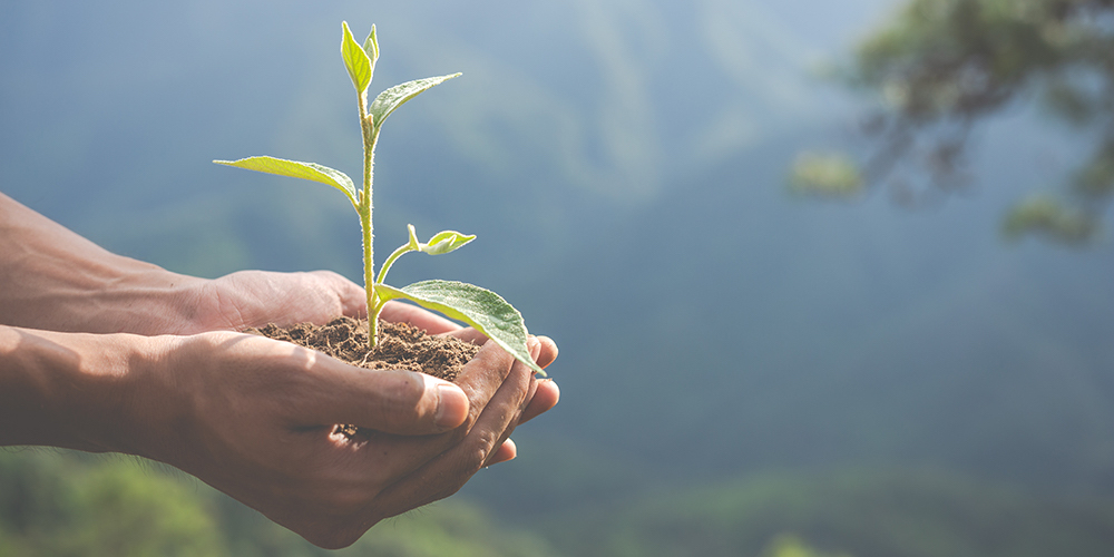 27 abril: Acuerdo de Escazú ¿qué es y por que el alboroto? Con Nicolás Boeglin y Álvaro Cedeño.
