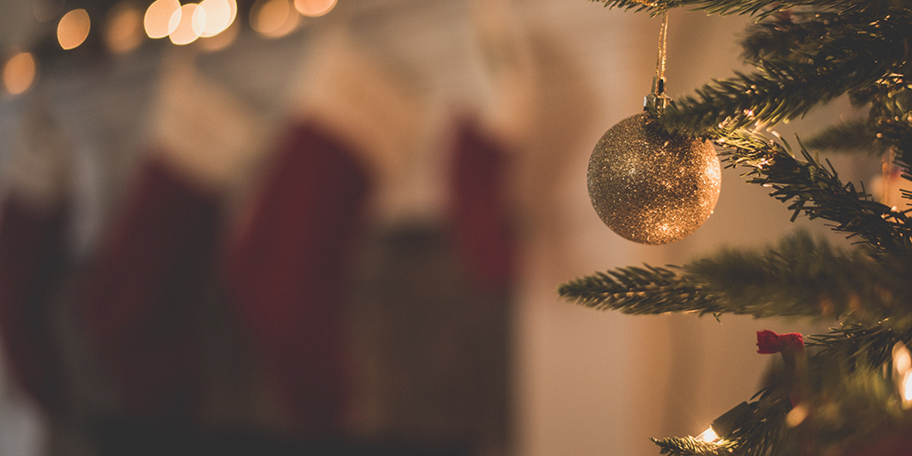 26 diciembre: El Arte de Vivir Bien: libertad y límites.