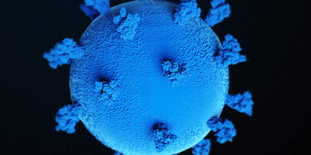 13 enero: Variante XBB 1.5 del SARS-CoV-2 ya está oficialmente en nuestro país. Con Juan José Romero.