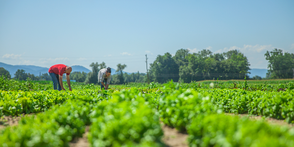 Proyecto de jornadas laborales y su paso por el Congreso.