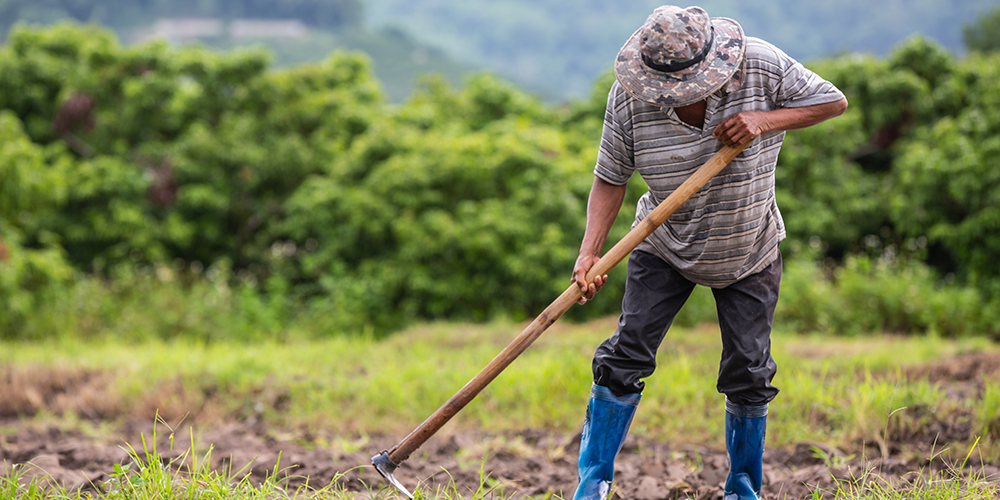 12 marzo 2024: Realidades y retos de la agricultura costarricense. Con Juan Rafael Lizano y Luis Felipe Arauz. 