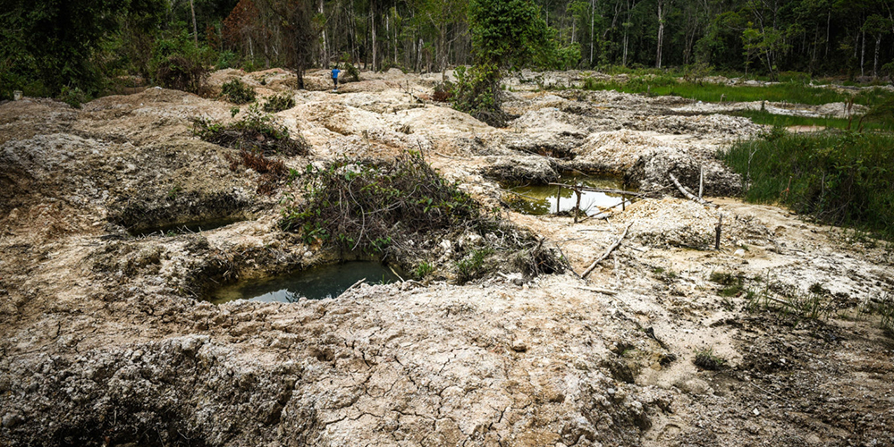 19 abril 2024: Dos situaciones ambientales de cuidado en la zona norte del país. Con Allan Astorga. 