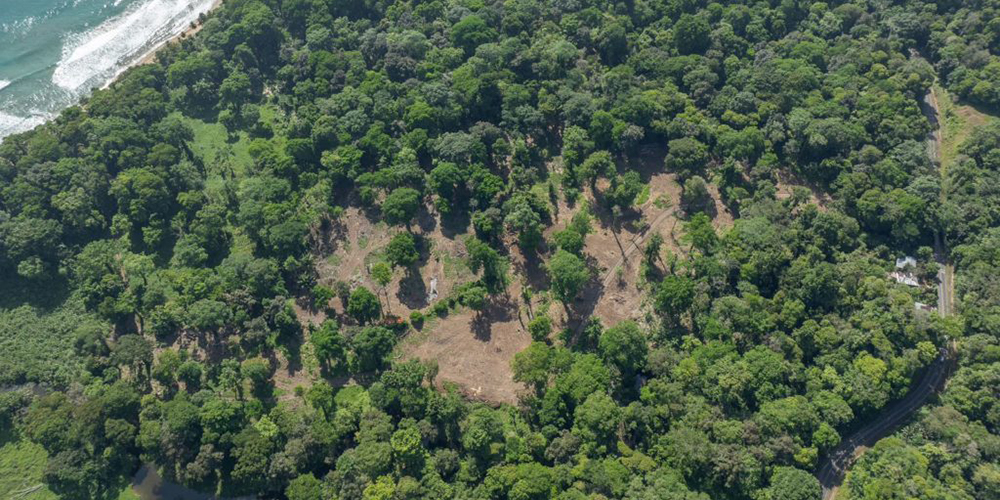 4 junio 2024: Denuncias de deforestación irregular en Refugio de Vida Silvestre Gandoca Manzanillo. Con Franz Tattembach.