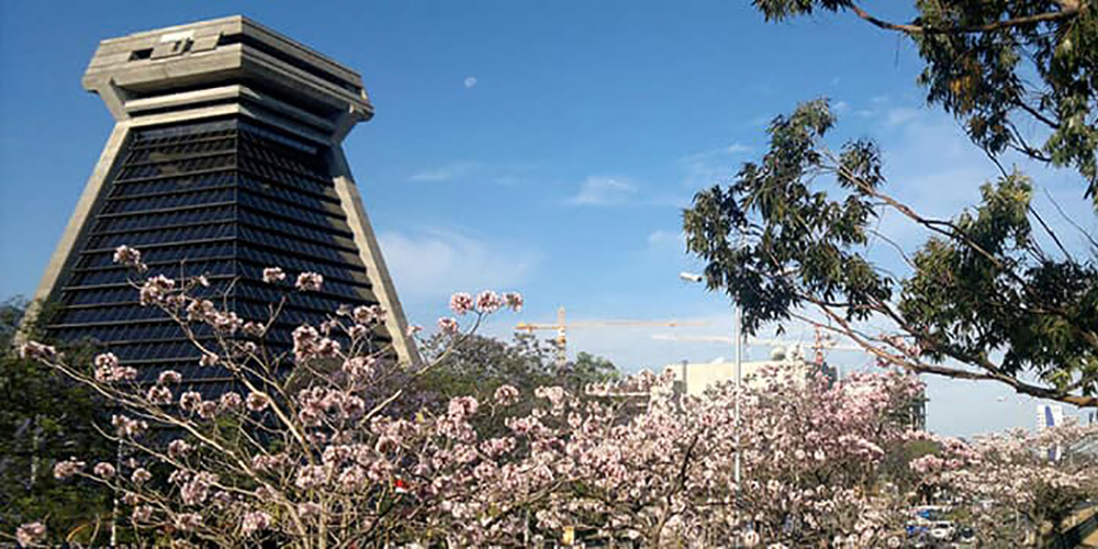 11 julio 2024: Coyuntura nacional y futuro del partido Acción Ciudadano. Con Carlos Alvarado.