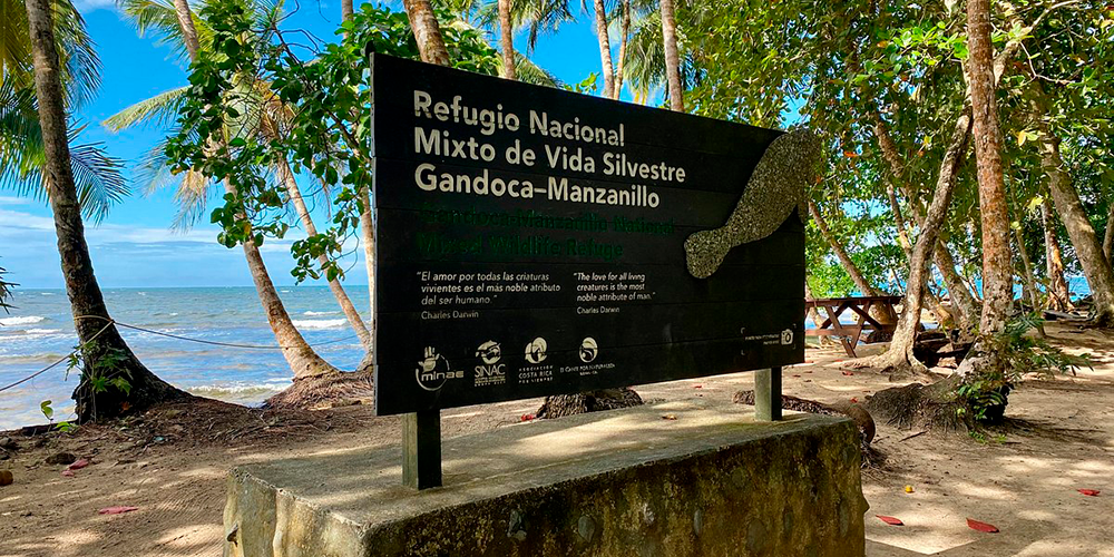 13 agosto 2024: Batalla por el Refugio mixto de Vida Silvestre Gandoca-Manzanillo. Con Anacristina Rossi.