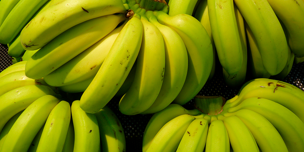 22 agosto 2024: ¿Qué está sucediendo en Limón? Con Ariel Robles.