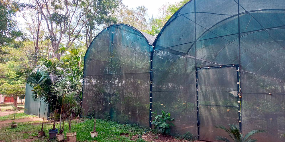 4 septiembre 2024: Proyecto Parque Natural Urbano Lorne, Ross. Con Paula Blanco Cantillo y Catalina Obregón.