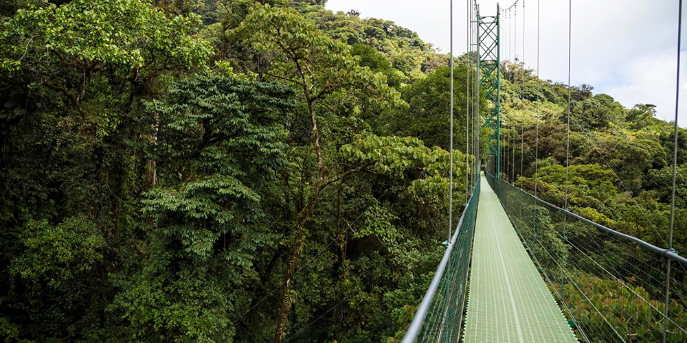19 noviembre 2024: Estado de la Nación: capítulo ambiental. Con Karen Chacón.