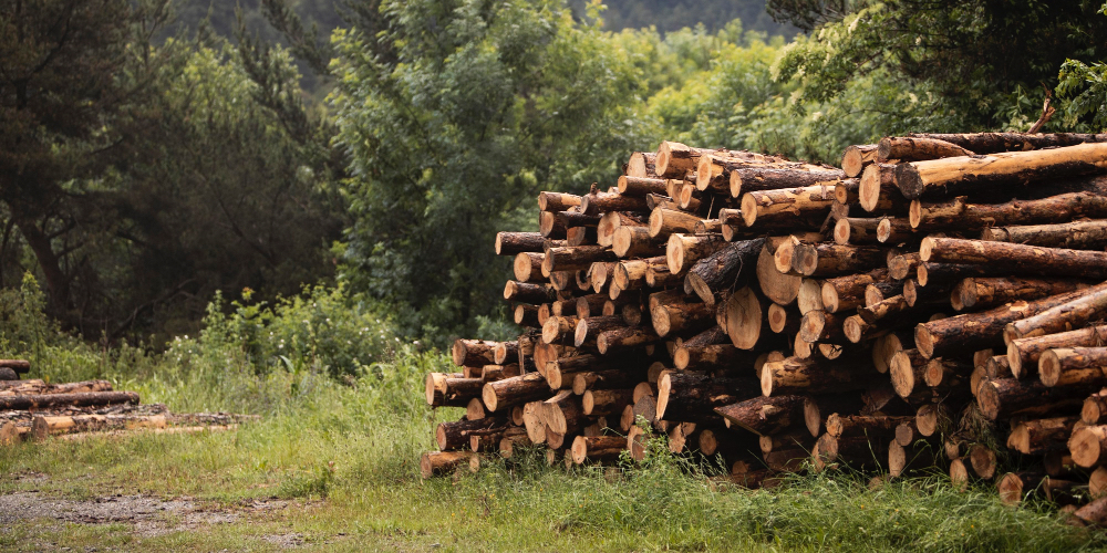 19 agosto 2025: Impacto directo de la naturaleza por falta de planificación. Con Allan Astorga.