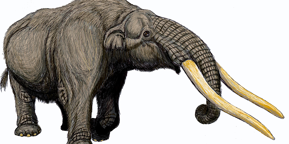 20 febrero 2026: Megahabitantes del Pleistoceno. Con Joanna Méndez y Guillermo Alvarado.