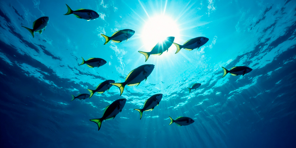 25 marzo 2026: Un domo térmico en Costa Rica. Con Allan Astorga