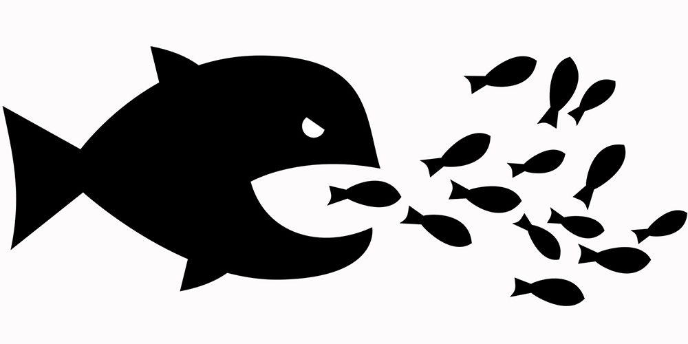 30 de agosto: La cadena mundial Walmart plantea absorber los Perimercados, los Super Compro y el super Saretto. ¿Es la ley de la sobrevivencia del más fuerte?, con David Solano Ortiz