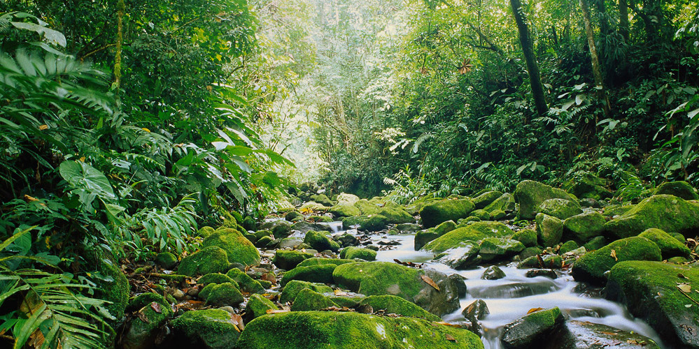 11 de mayo: Uno de los énfasis del nuevo gobierno es el abordaje ambiental desde sus múltiples ángulos, Carlos Manuel Rodríguez