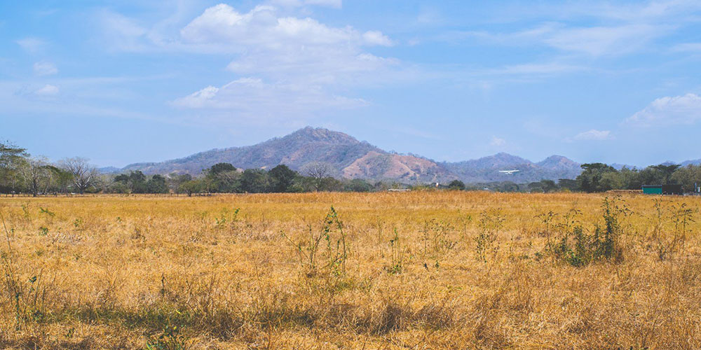 16 noviembre: Las previsiones de sequía para el 2019 y los efectos de El Niño, con Alexander Solís y Lorena Romero