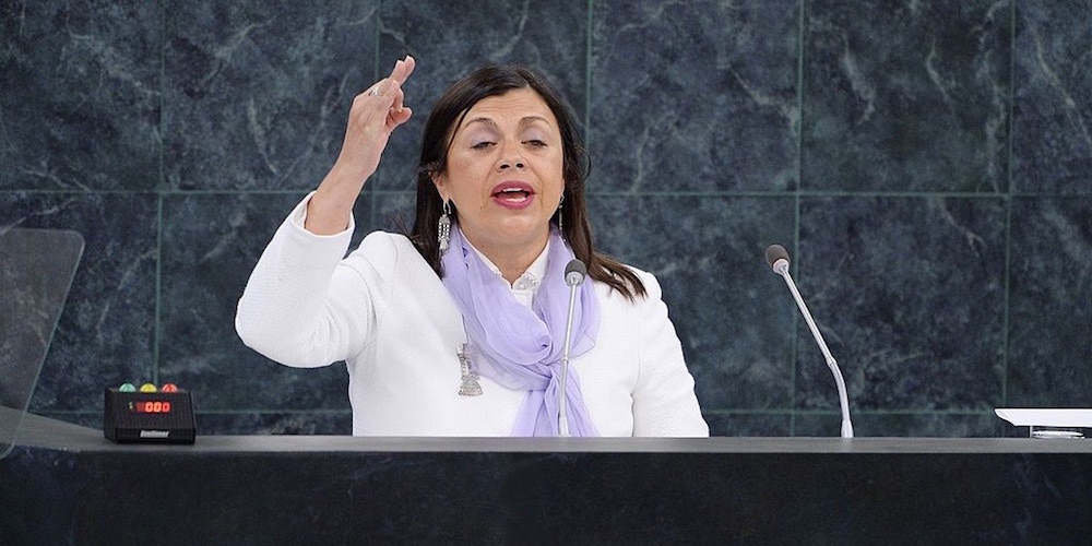 María Soledad Cisternas, luchadora inquebrantable y activista de la discapacidad. 