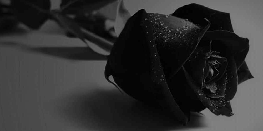 20 de marzo: Seis mujeres asesinadas durante lo que va del primer trimestre del 2018, no son estadísticas, son madres, hijas, hermanas, con Montserrat Sagot. 