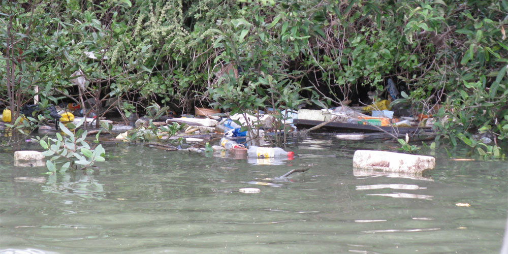 Candidatos y ambiente: ¿Cuándo se va a hablar en serio?