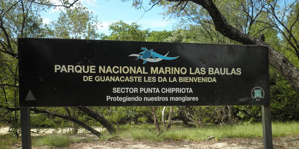 Caso Baulas Contra Costa Rica: CIADI Se Declara Incompetente para Algunos Terrenos Objeto de Supuesta Expropiación y se Reserva Estudio para Indemnización de Otros