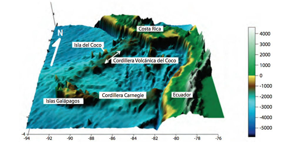 El verdadero tesoro de la Cordillera submarina de El Coco