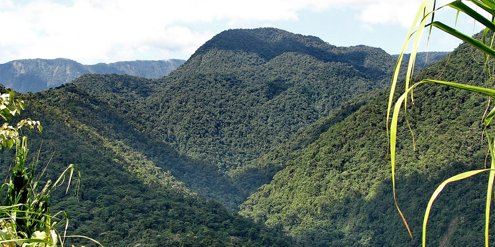 No a los tractores en los parques nacionales y ecosistemas protegidos