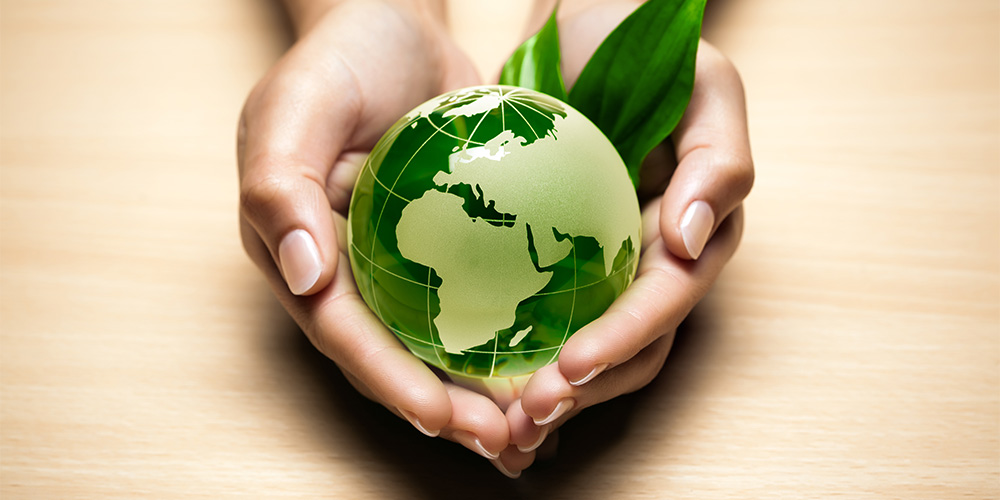 Control ambiental y complicidad institucional